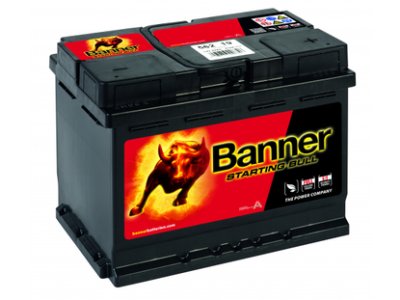 Banner STARTING Bull 56219